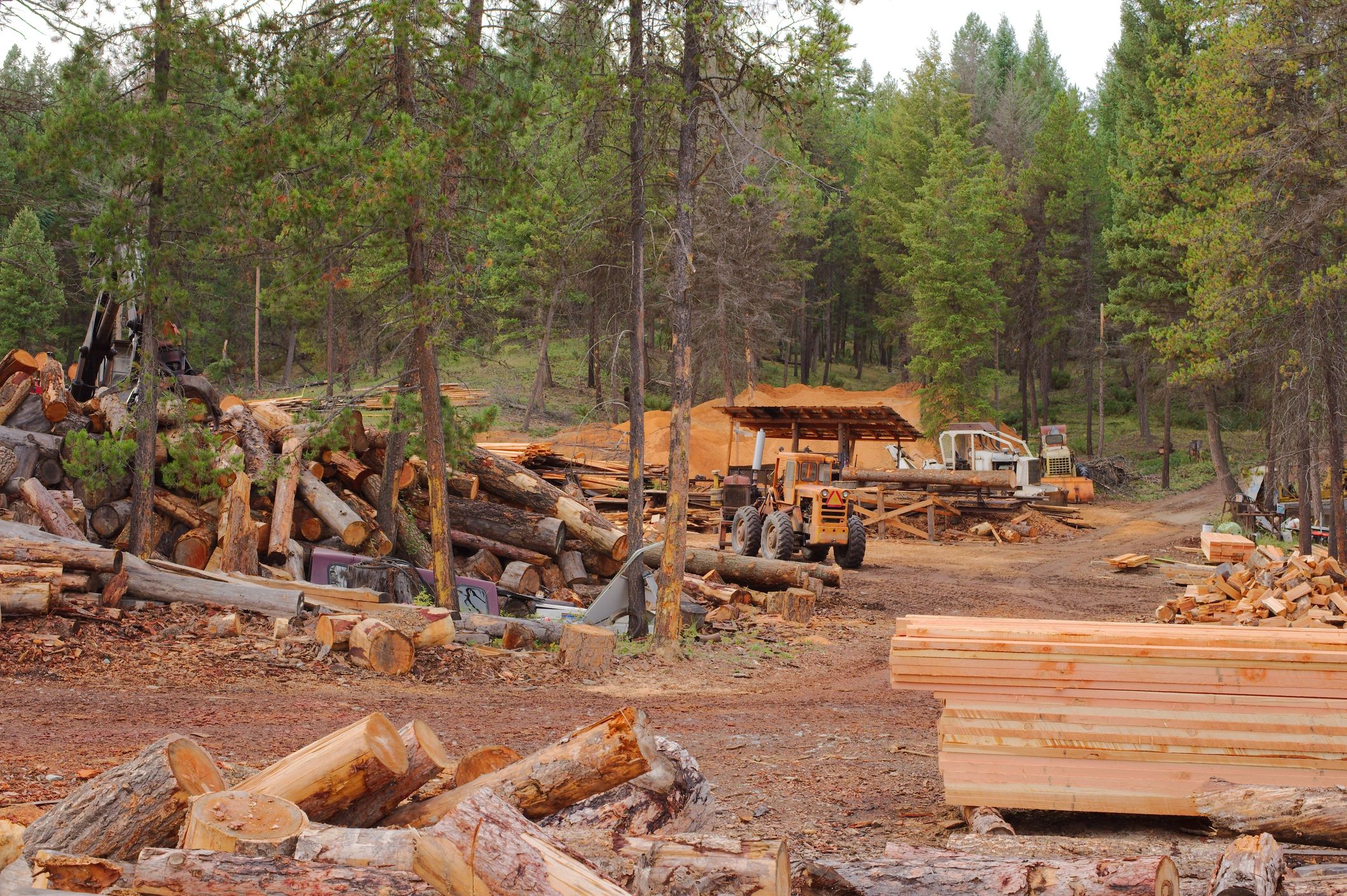 custom timber milling Montana
